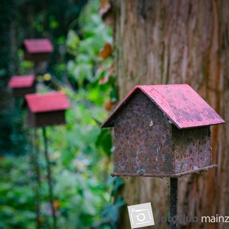 2025 Hombroich &amp; Düsseldorf - Moni Besier 02